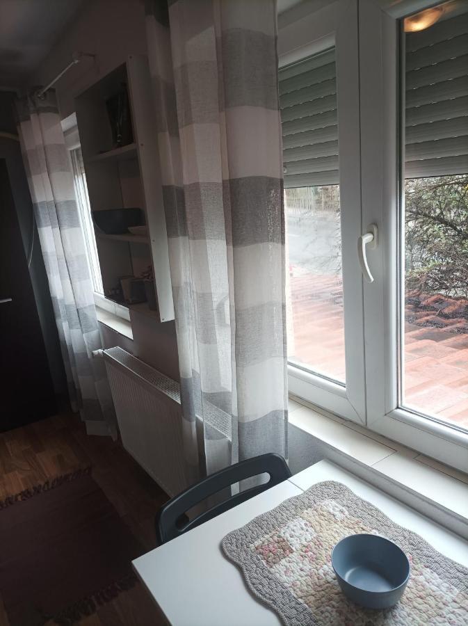 Apartmani Biljana Lazic Vrnjačka Banja Kültér fotó