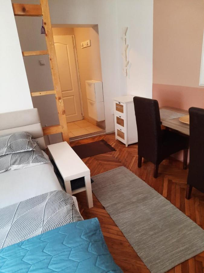 Apartmani Biljana Lazic Vrnjačka Banja Kültér fotó