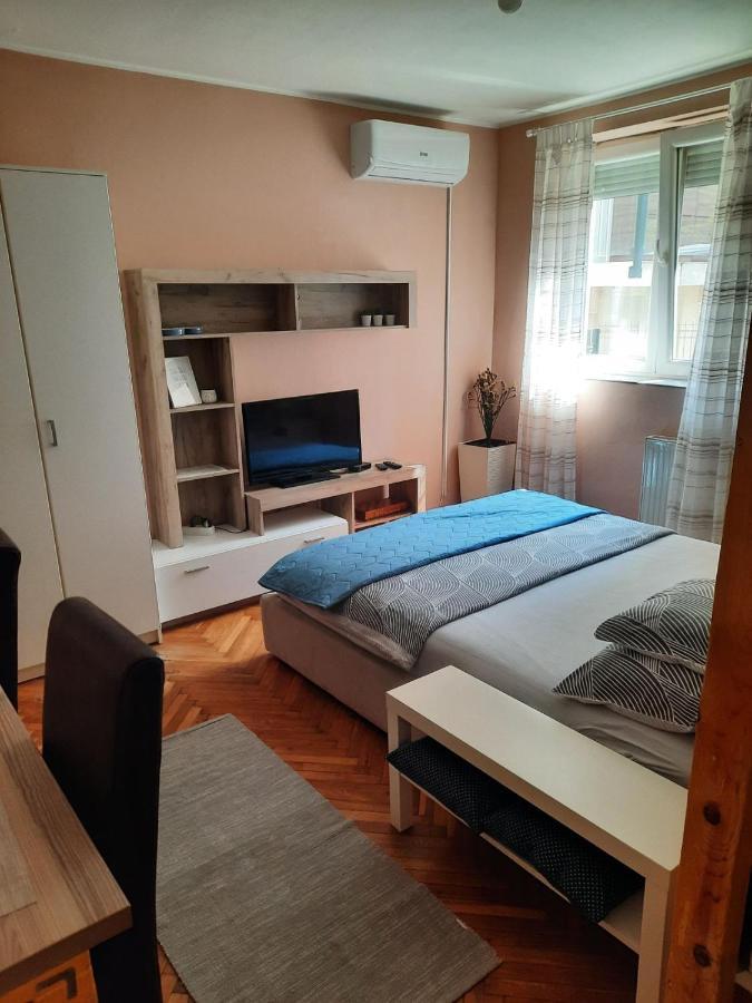 Apartmani Biljana Lazic Vrnjačka Banja Kültér fotó