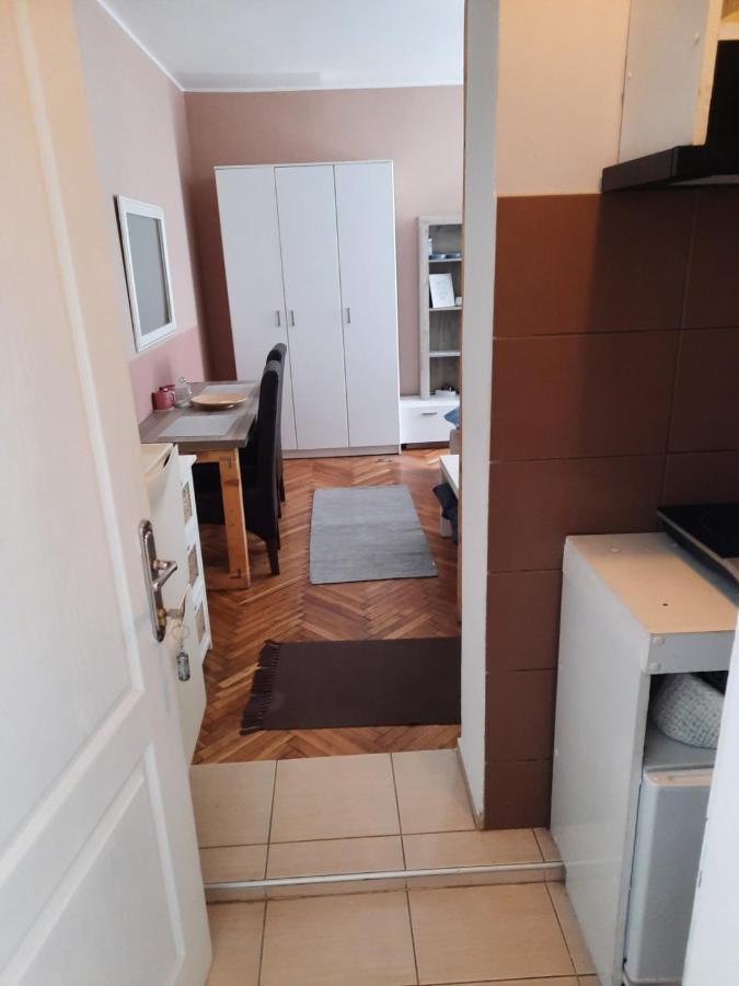 Apartmani Biljana Lazic Vrnjačka Banja Kültér fotó