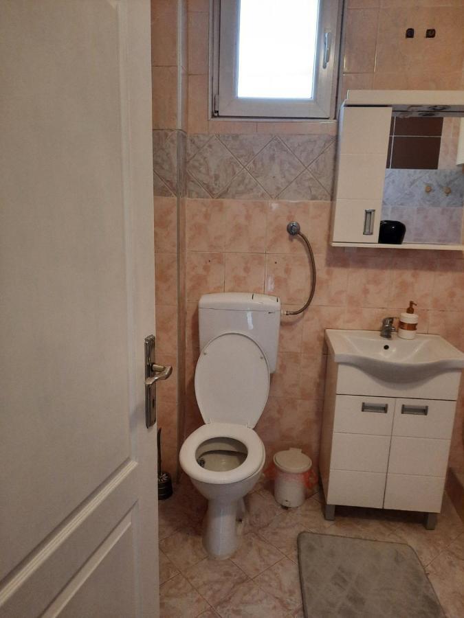 Apartmani Biljana Lazic Vrnjačka Banja Kültér fotó