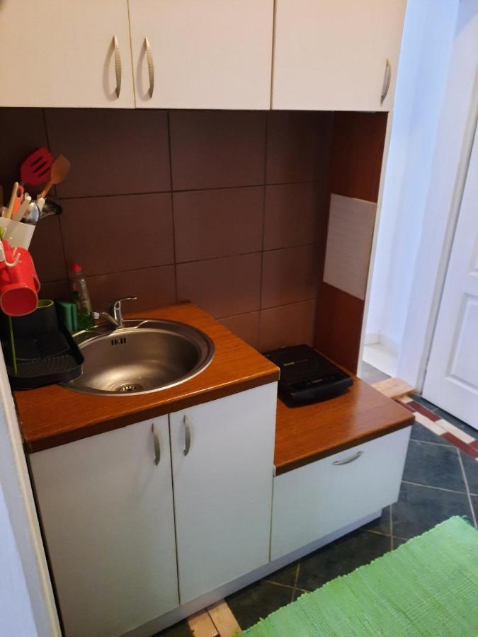 Apartmani Biljana Lazic Vrnjačka Banja Kültér fotó