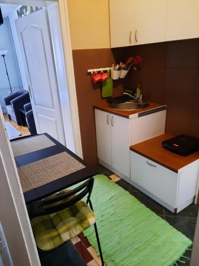 Apartmani Biljana Lazic Vrnjačka Banja Kültér fotó