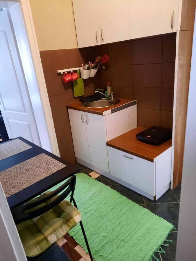 Apartmani Biljana Lazic Vrnjačka Banja Kültér fotó