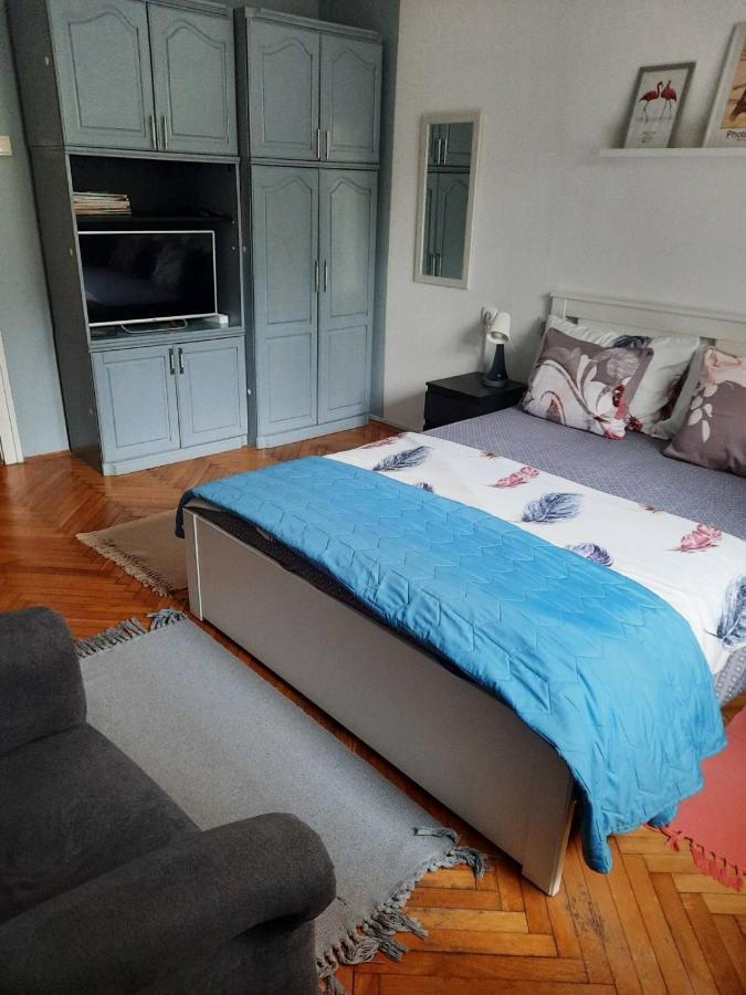 Apartmani Biljana Lazic Vrnjačka Banja Kültér fotó